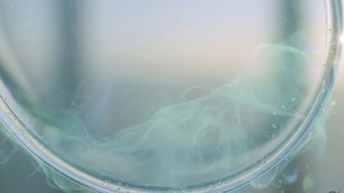 Ozone process visual